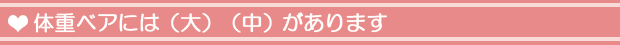 体重ベアには(大)(中)(小)があります