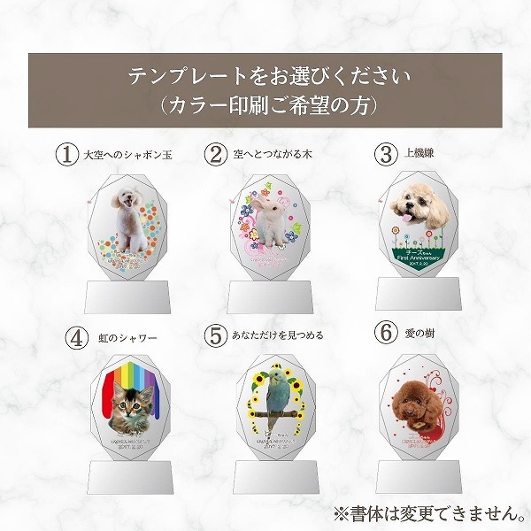 UVカラー加工