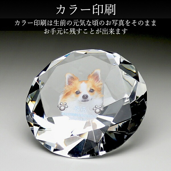 UVカラー加工