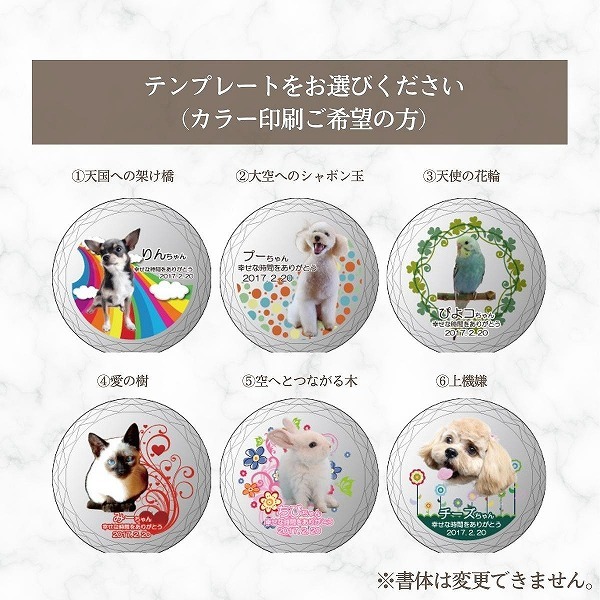 UVカラー加工