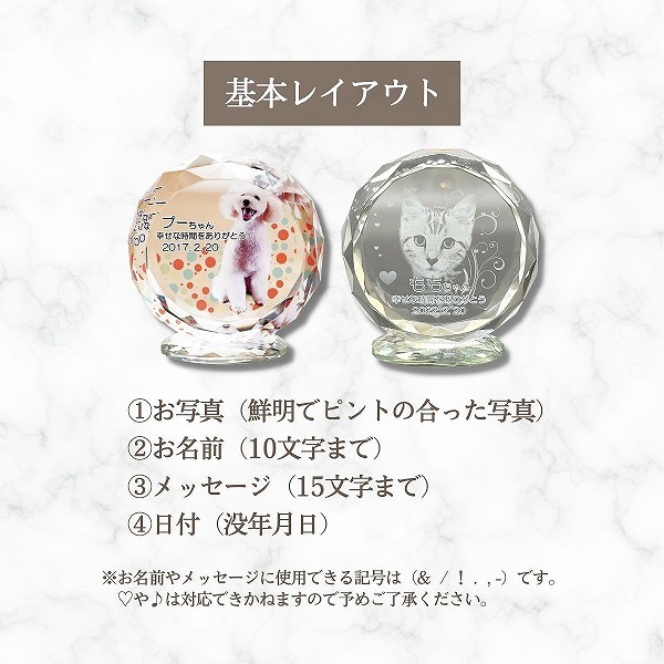基本のレイアウトはこちら