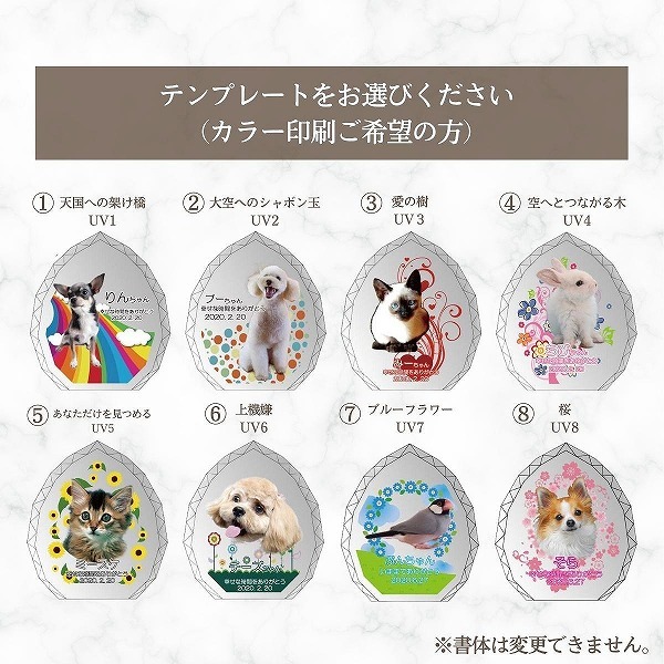 UVカラー加工