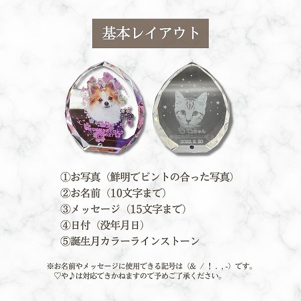 基本のレイアウトはこちら