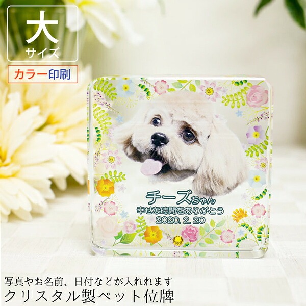 写真入りペット位牌 クリスタル 四角形 <大サイズ・選べる誕生月ラインストーン付き>(KP-29A)