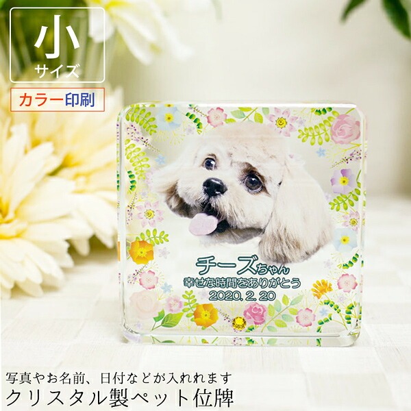 写真入りペット位牌 クリスタル 四角形 ＜小サイズ・選べる誕生月ラインストーン付き＞（KP-29B）