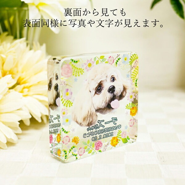 クリスタル輝く美しいクリスタルペット位牌