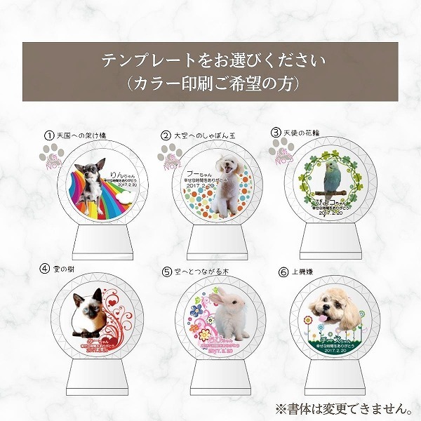 UVカラー加工