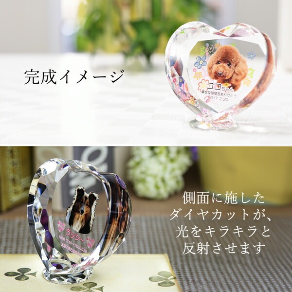 UVカラー加工