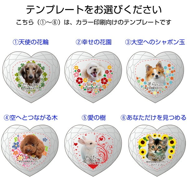 UVカラー加工